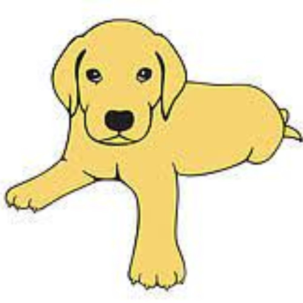 Meet your Posher, Jena